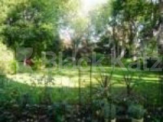 			NEW INSTRUCTION GARDEN FLAT, 2 Bedroom, 1 bath, 1 reception Flat			 Fitzjohns Avenue, HAMPSTEAD/BELSIZE